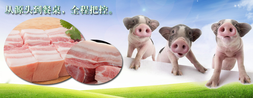 泥漿凈化系統(tǒng)